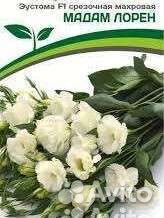 Калибрахоа Tik-tok rose, Эустома Мадам Лорэн