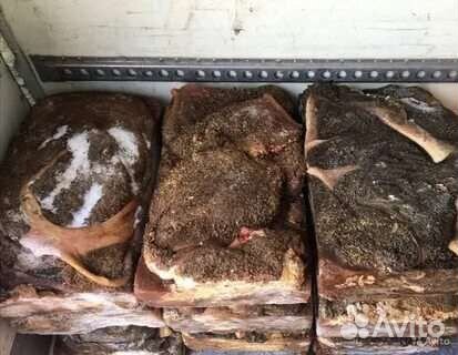 Мясо и субпродукты для собак