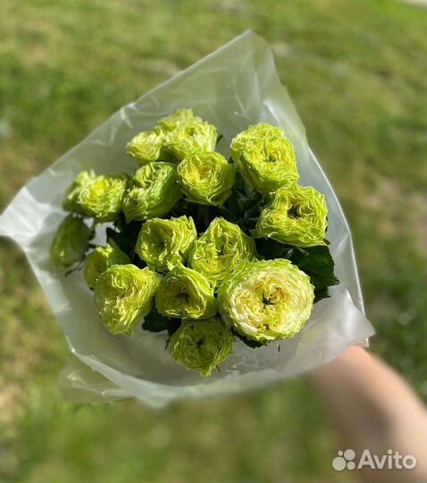 Моно будет с розой