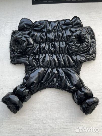 Одежда для собак мелких пород