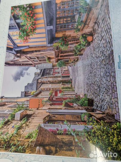 Пазл 3000 штук step puzzle