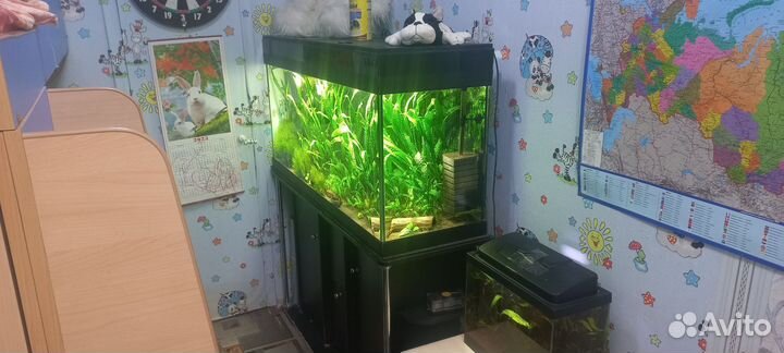Аквариум травник 300 литров