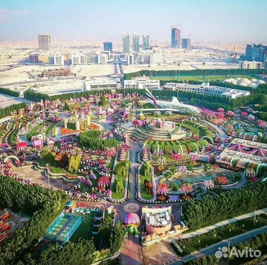 Go в Dubai от 7 дней