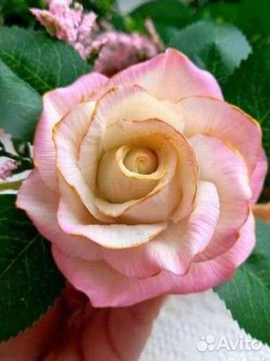 Силиконовая форма для мыла