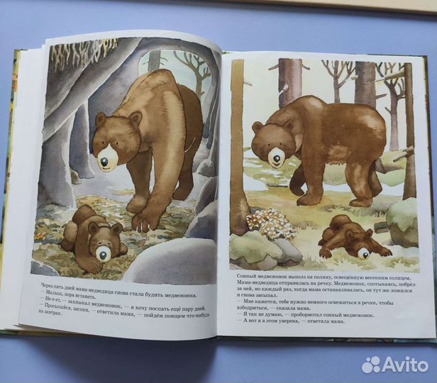 Медвежонок, ложись спать 0+