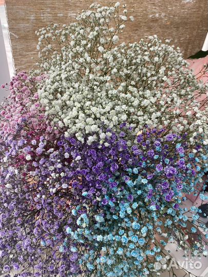 Гипсофила Букет и композиция