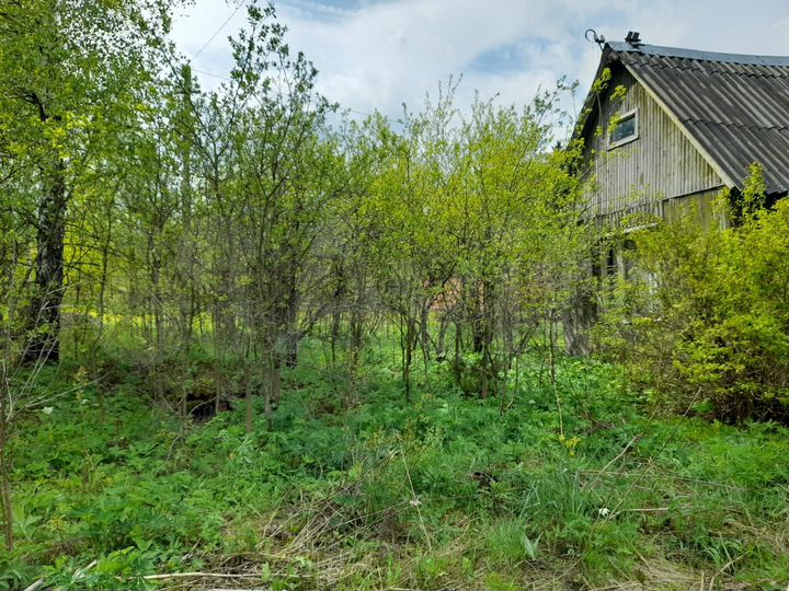 Участок 9 сот. (СНТ, ДНП)