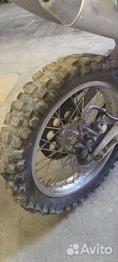 Raser 300