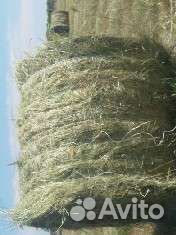 Сено в тюка 300-350