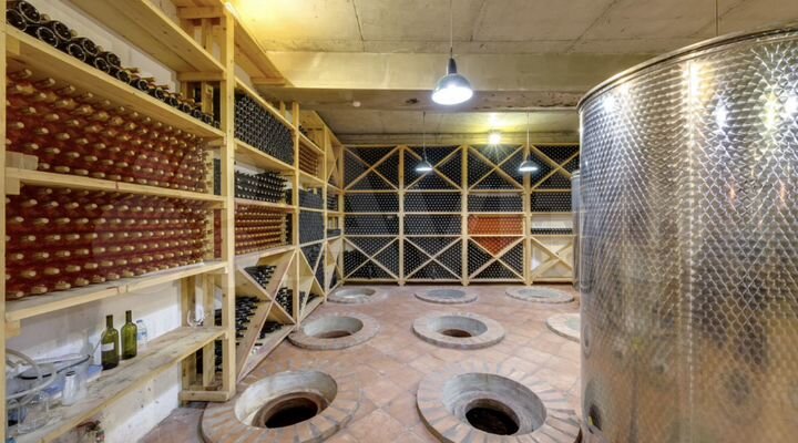 Гостиница (Грузия)