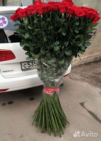 Высокие розы Гигантские розы 110