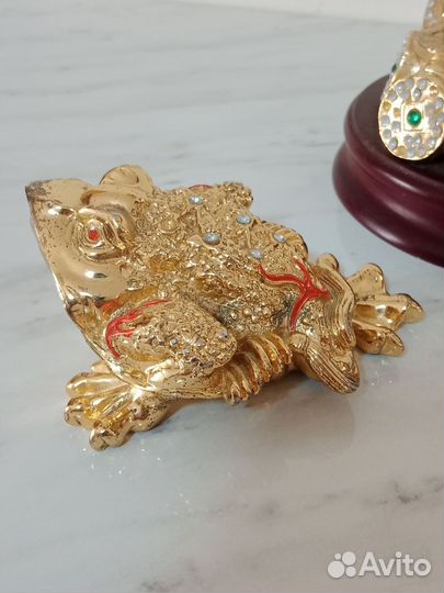 Трёх малая денежная жаба