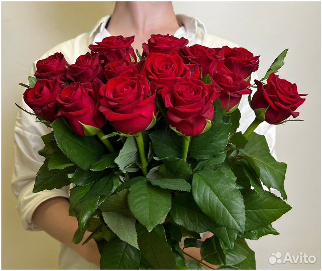 Высокие Эквадорские премиум розы 19 шт