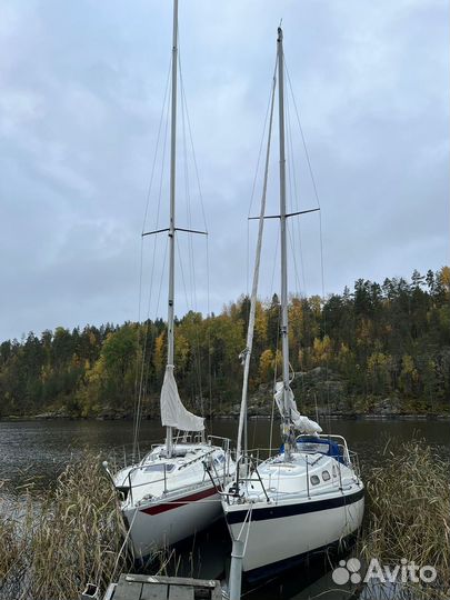 Ладога под парусом