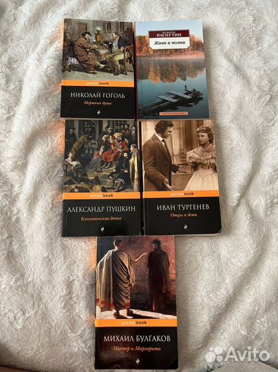 Книги школьная литература 9-11 класс