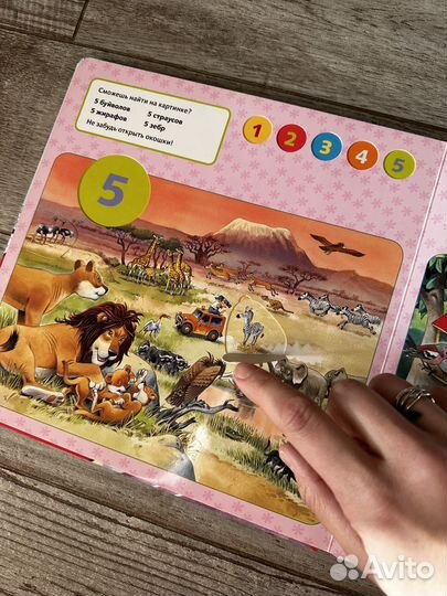 Книга с окошками Счет