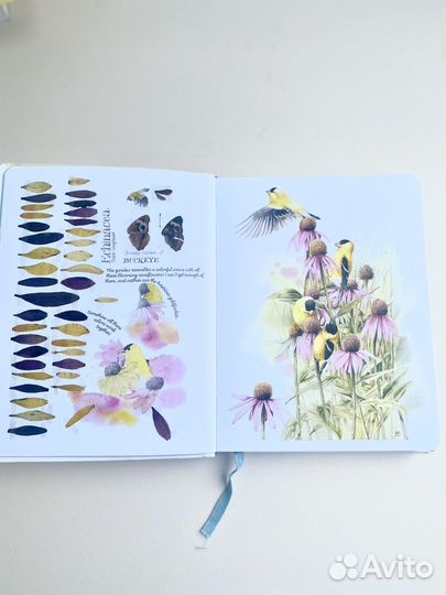 Дневник природы с рисунками Марджолен Бастин