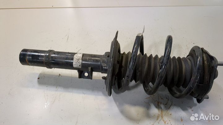 Амортизатор подвески Honda Civic 2021, 2023