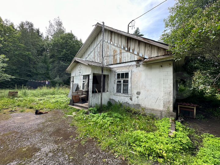 Свободного назначения, 243.6 м²