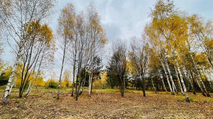 Участок 7,5 сот. (ИЖС)