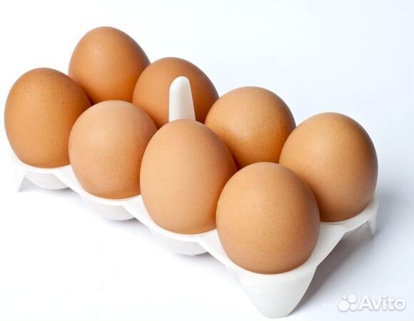 Продам куриные яйца