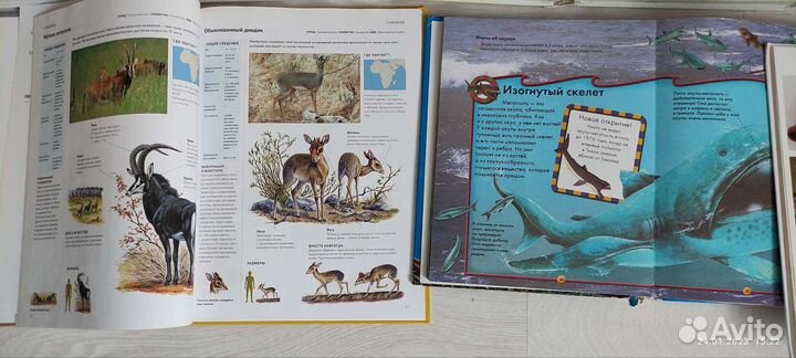 Энциклопедии, книги о животных