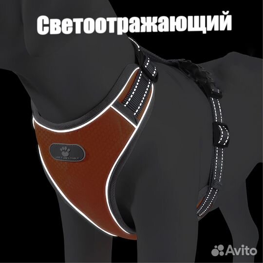 Шлейка для собаки