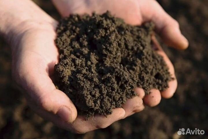 Верхний слой грунта