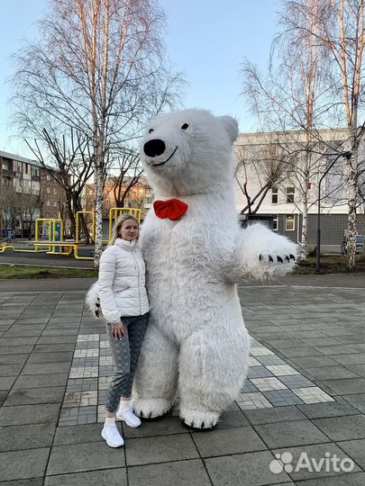 Белый медведь Фёдор поздравление / аренда костюма