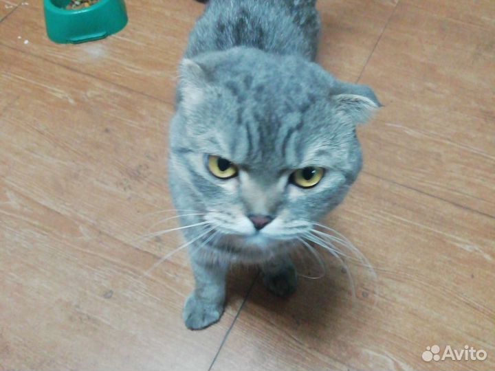 Продам за 500