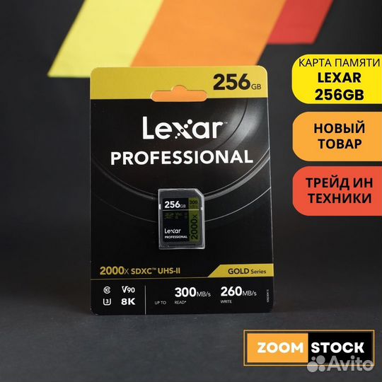 Lexar 256GB