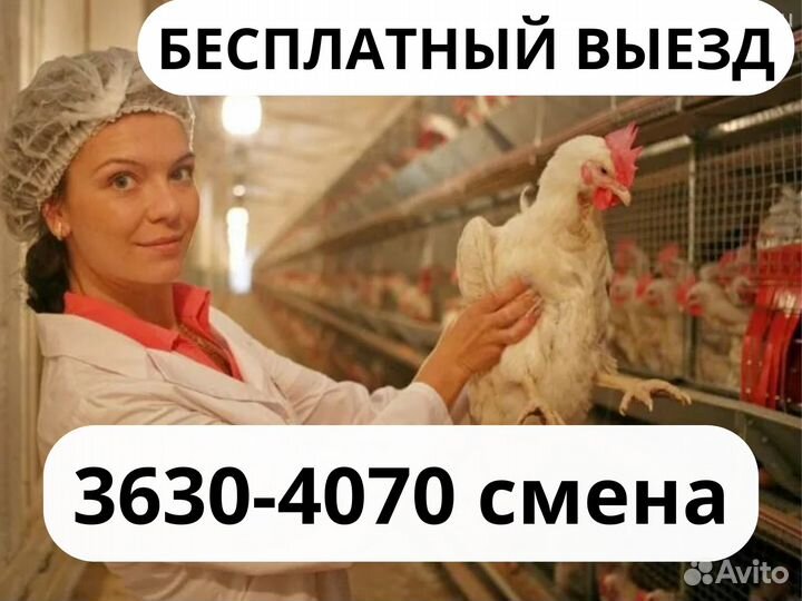 Вахта разнорабочий, из Саратова бесплатный проезд