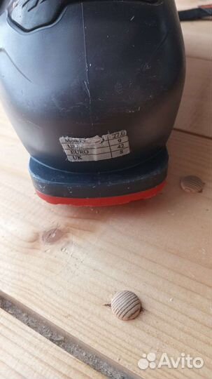 Горнолыжные ботинки Dalbello Aerro 75