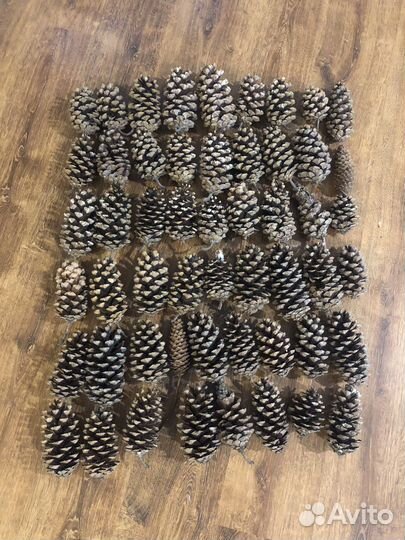 Шишки огромные