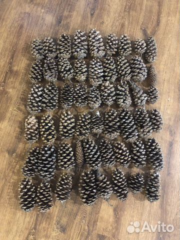 Шишки огромные