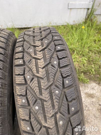 Tigar Ice 185/65 R15