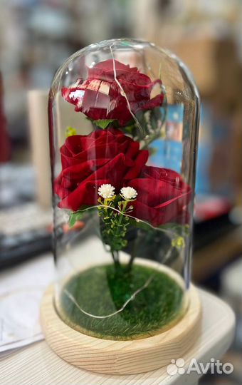 Розы в колбе