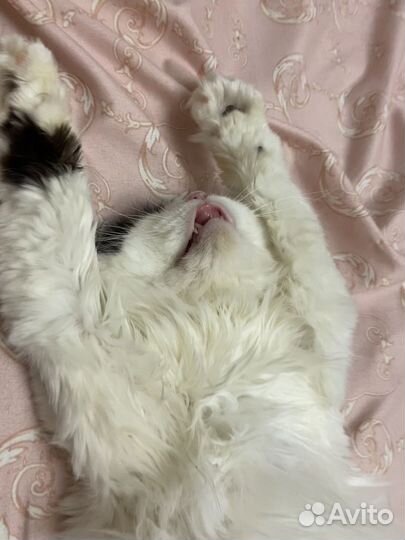 Влажная салфетка макдональдс