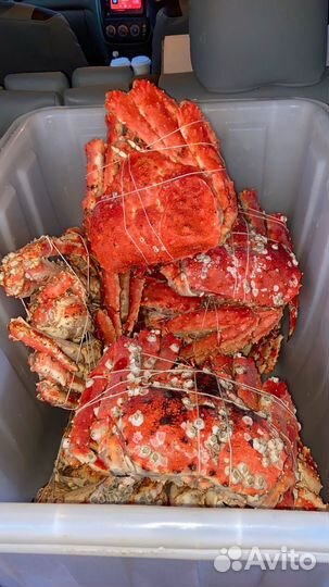 Краб камчатский подарочный