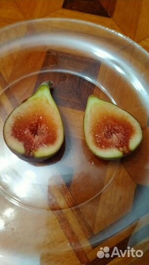 Инжир.сладкий вкусный местный