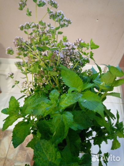 Ароматный букет в чай