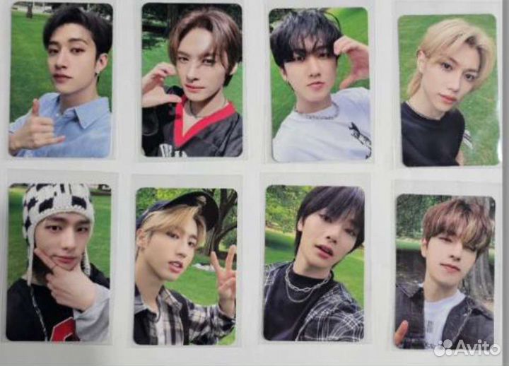 Stray kids 5 star карты