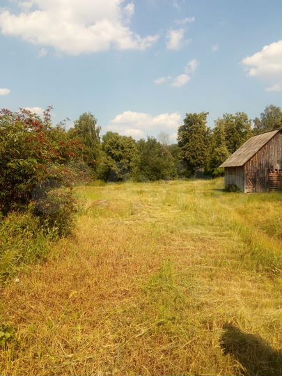 Участок 12,5 сот. (ИЖС)