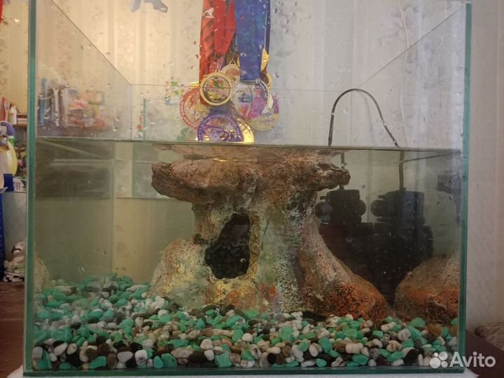 Аквариум