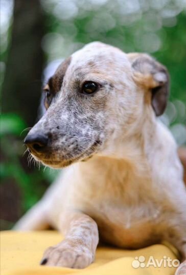 Малышка грустит