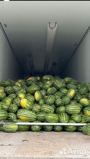 Арбузы оптом