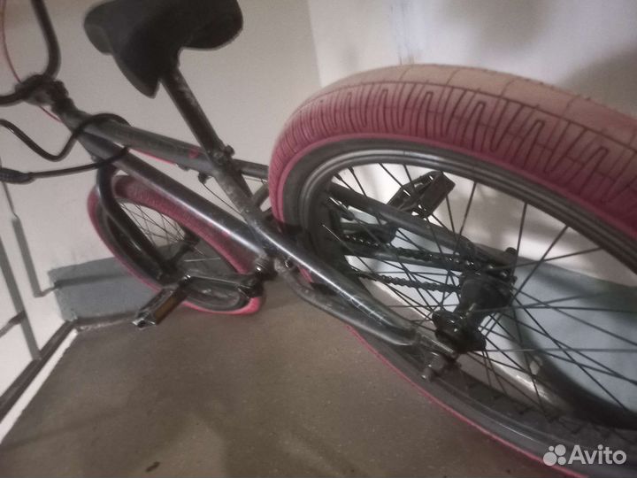 Bmx tech team grasshopper