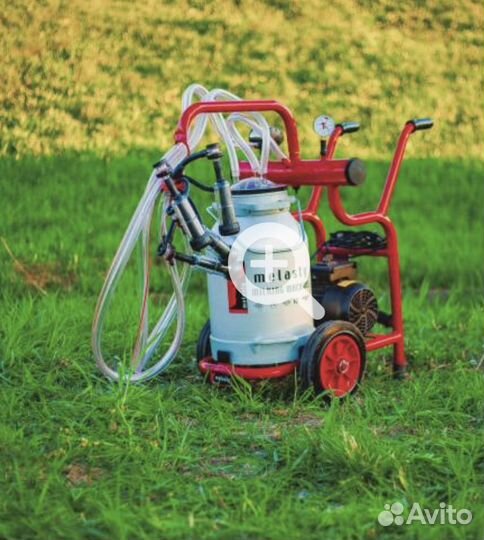 Доильный аппарат для коз