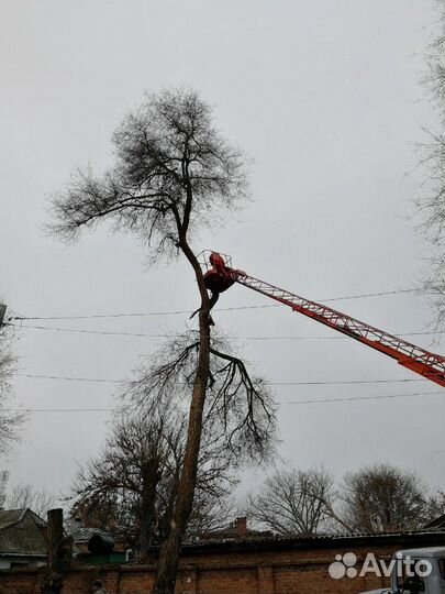 Аренда и услуги телескопической автовышки, 250 кг