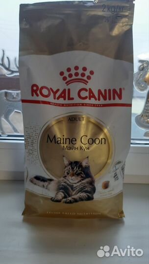 Корм для мейн кунов